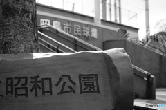 Tokyo monochrome# (1262)