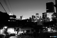 tokyo monochrome# (1433)