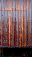 quiet color#288