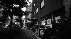 tokyo monochrome#544
