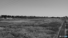 tokyo monochrome# (1145)