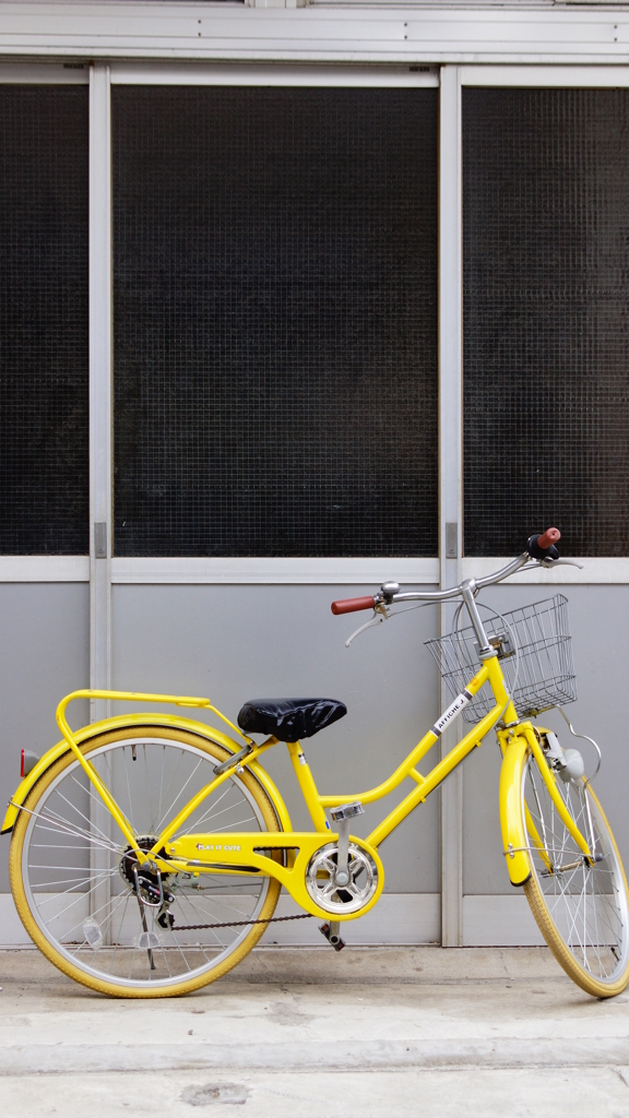 quiet color#266