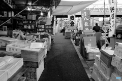 tokyo monochrome# (1573)