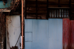 quiet color#115