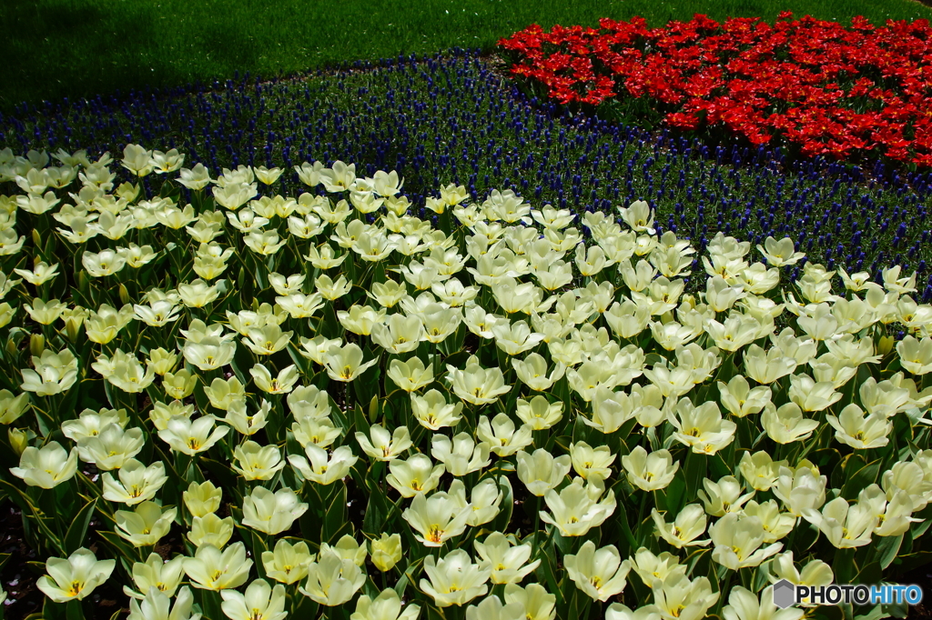 花園
