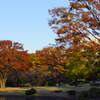 北の丸公園-1