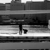 tokyo monochrome#359