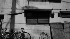 quiet color#332