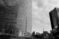 tokyo monochrome# (1168)