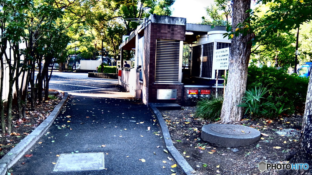 street corner illusions#90