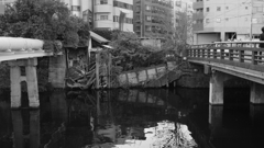 tokyo monochrome#678