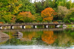 20161029　昭和記念公園－６