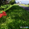 穏やかな秋