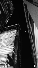 tokyo monochrome#503