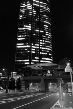tokyo monochrome# (1191)