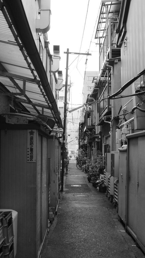 tokyo monochrome#683