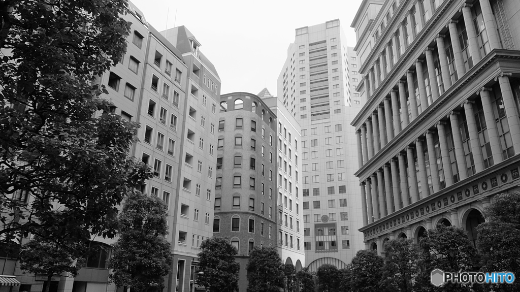 tokyo monochrome# (1142)