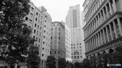 tokyo monochrome# (1142)