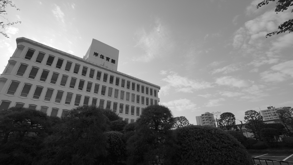 tokyo monochrome#742