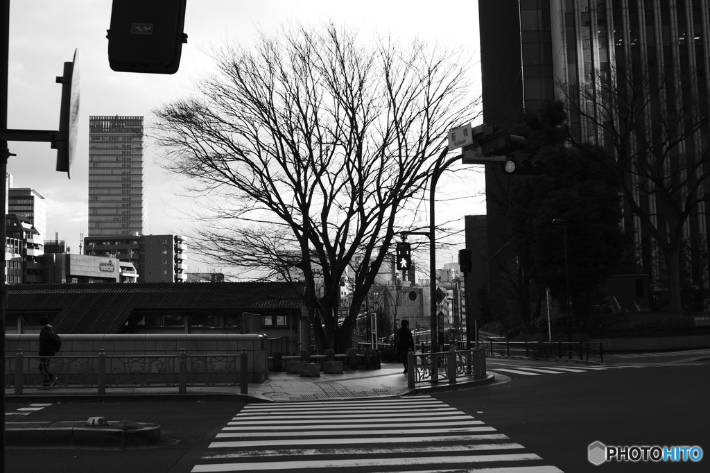 Tokyo monochrome# (1223)
