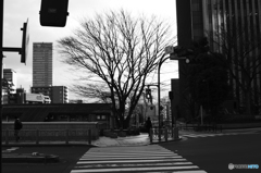 Tokyo monochrome# (1223)
