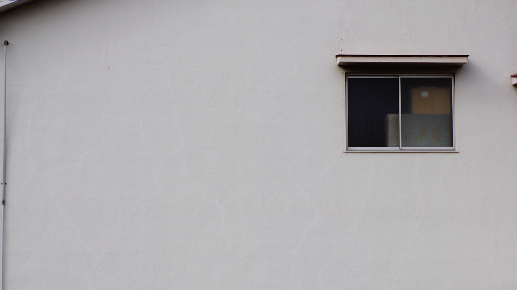 quiet color#251