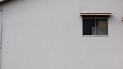 quiet color#251