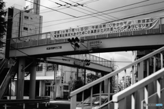 Tokyo monochrome# (1263)