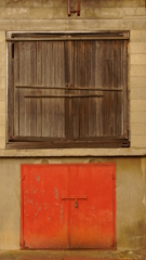 quiet color#230