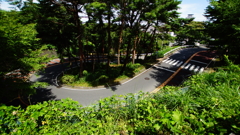 耳をすませば-2