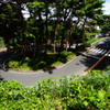 耳をすませば-2