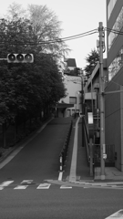 tokyo monochrome#731
