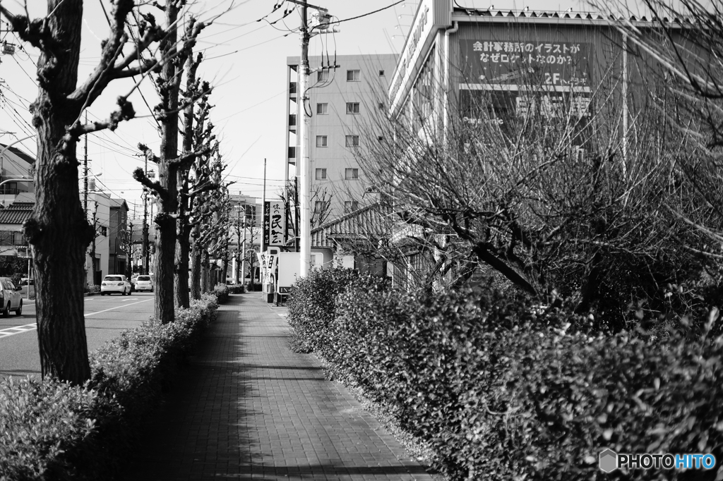 Tokyo monochrome# (1277)