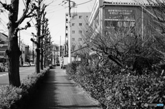 Tokyo monochrome# (1277)