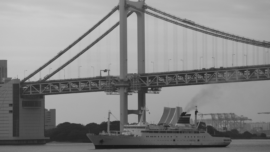 tokyo monochrome#479