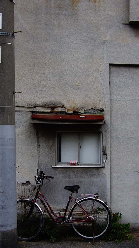 quiet color#280