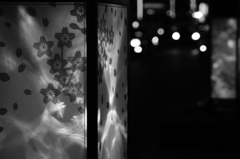 tokyo monochrome#97