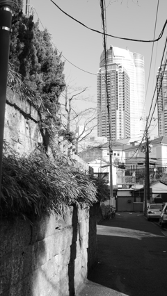 tokyo monochrome#579元麻布２