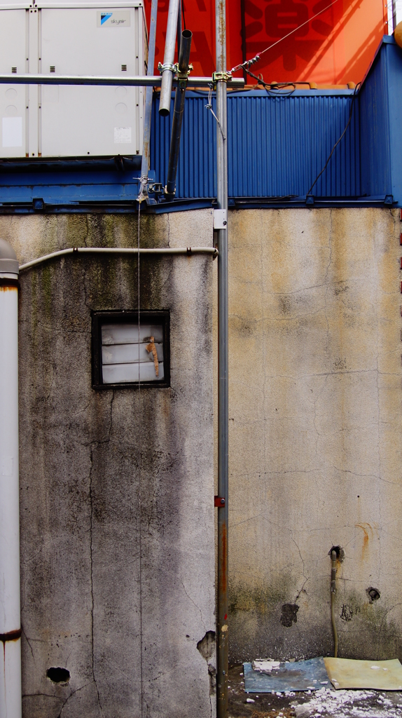 quiet color#323