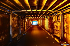 street coner illusion (186)