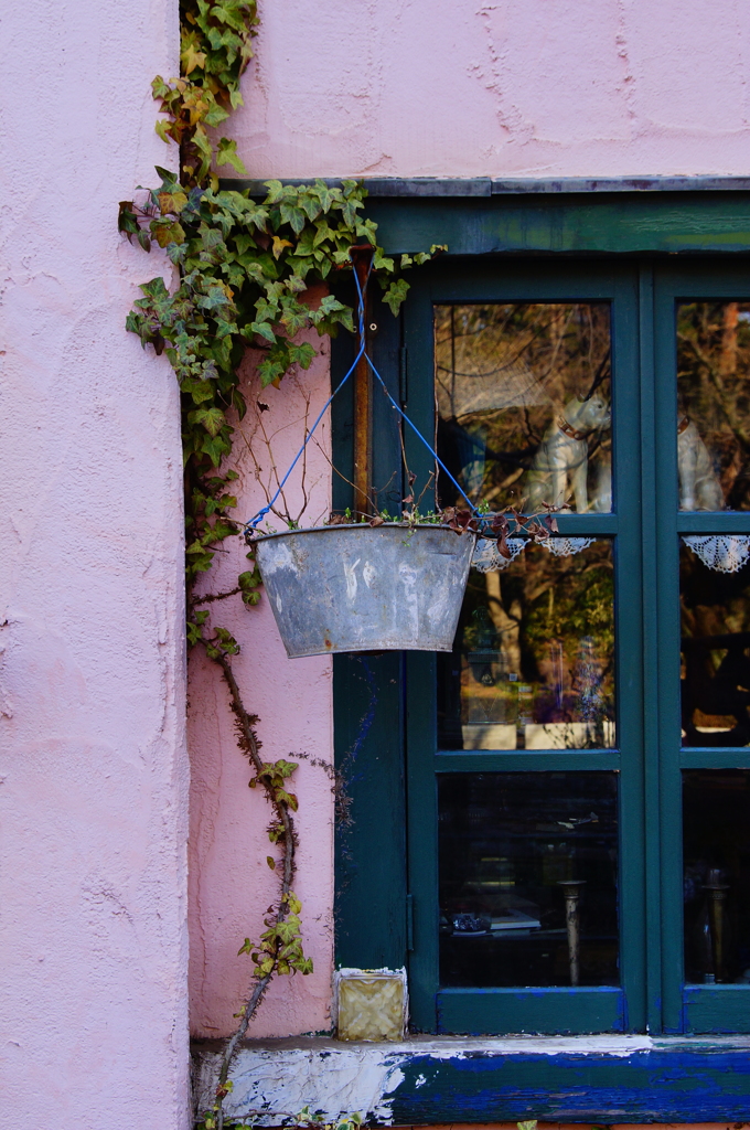 quiet color#423