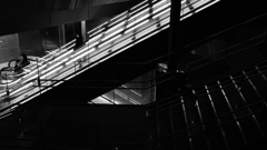 tokyo monochrome#440