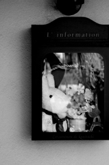 tokyo monochrome#290