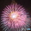 昭和記念公園花火大会