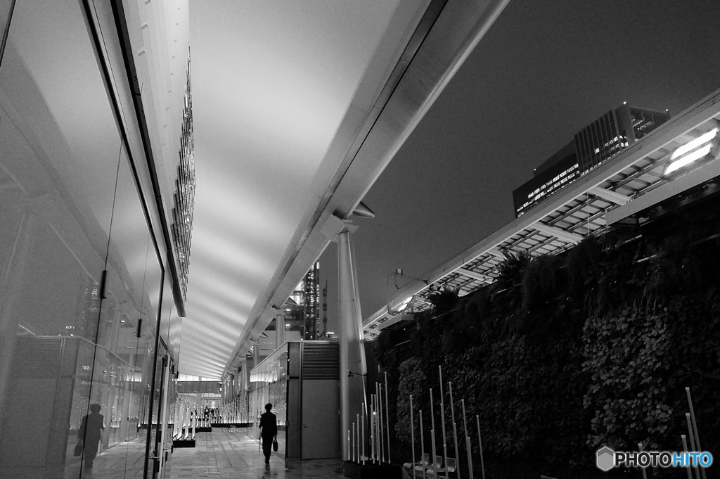 tokyo monochrome#842