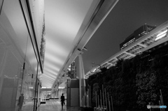 tokyo monochrome#842