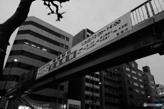 tokyo monochrome# (1033)