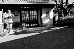 tokyo monochrome#298