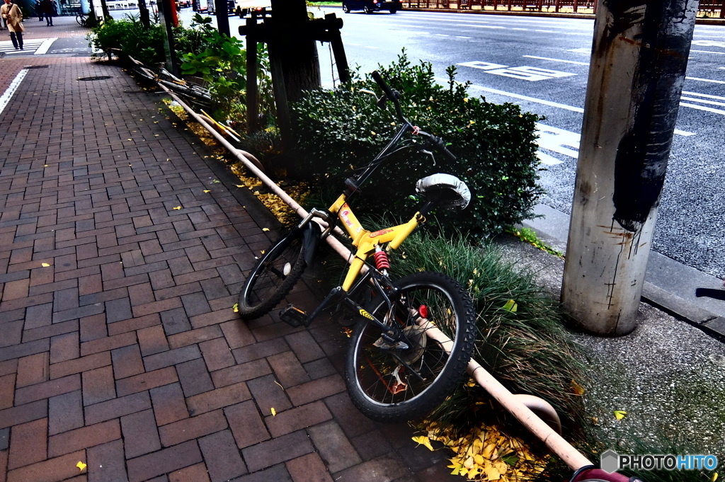 street corner illusions#62