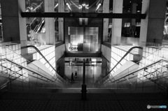 tokyo monochrome#975~Face down